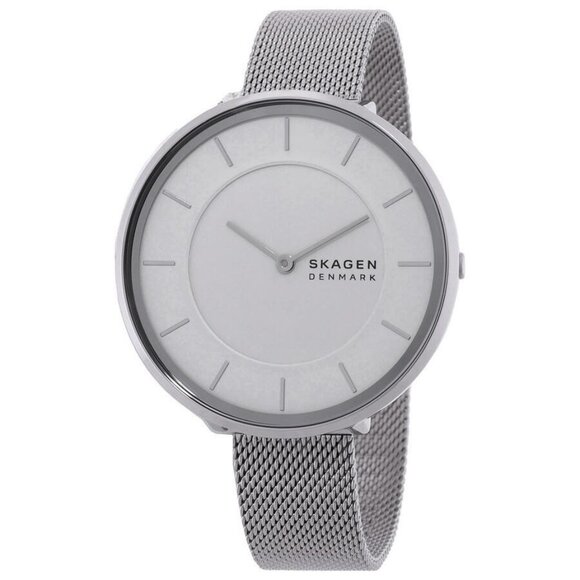 FX04486B NWT Skagen Fashion Ladies Quartz Steel Authentic Watch - Picture 1 of 3